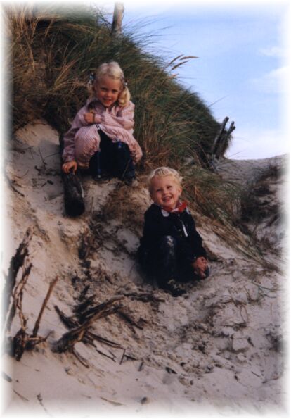 D&uuml;nen auf Amrum